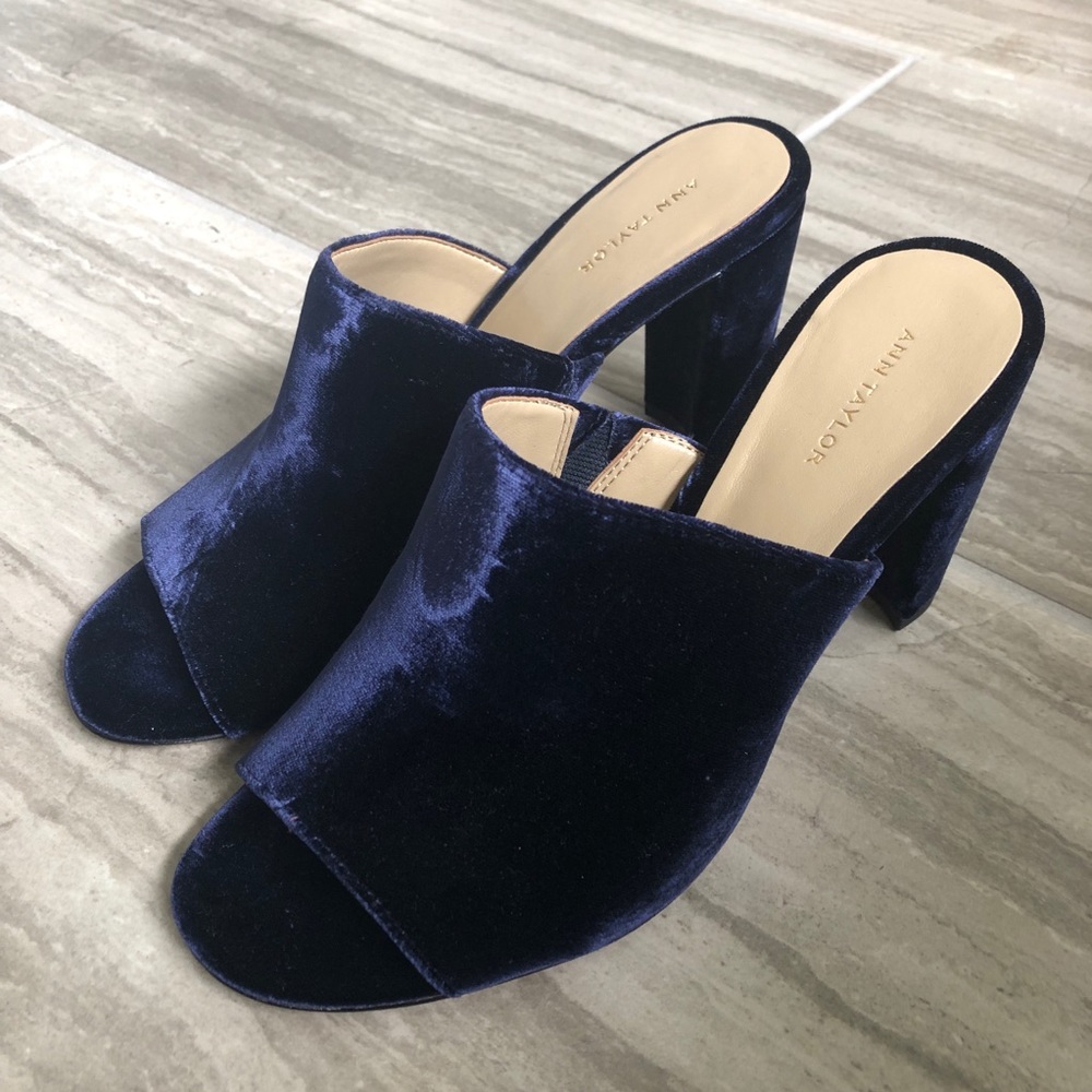 Ann Taylor Slides